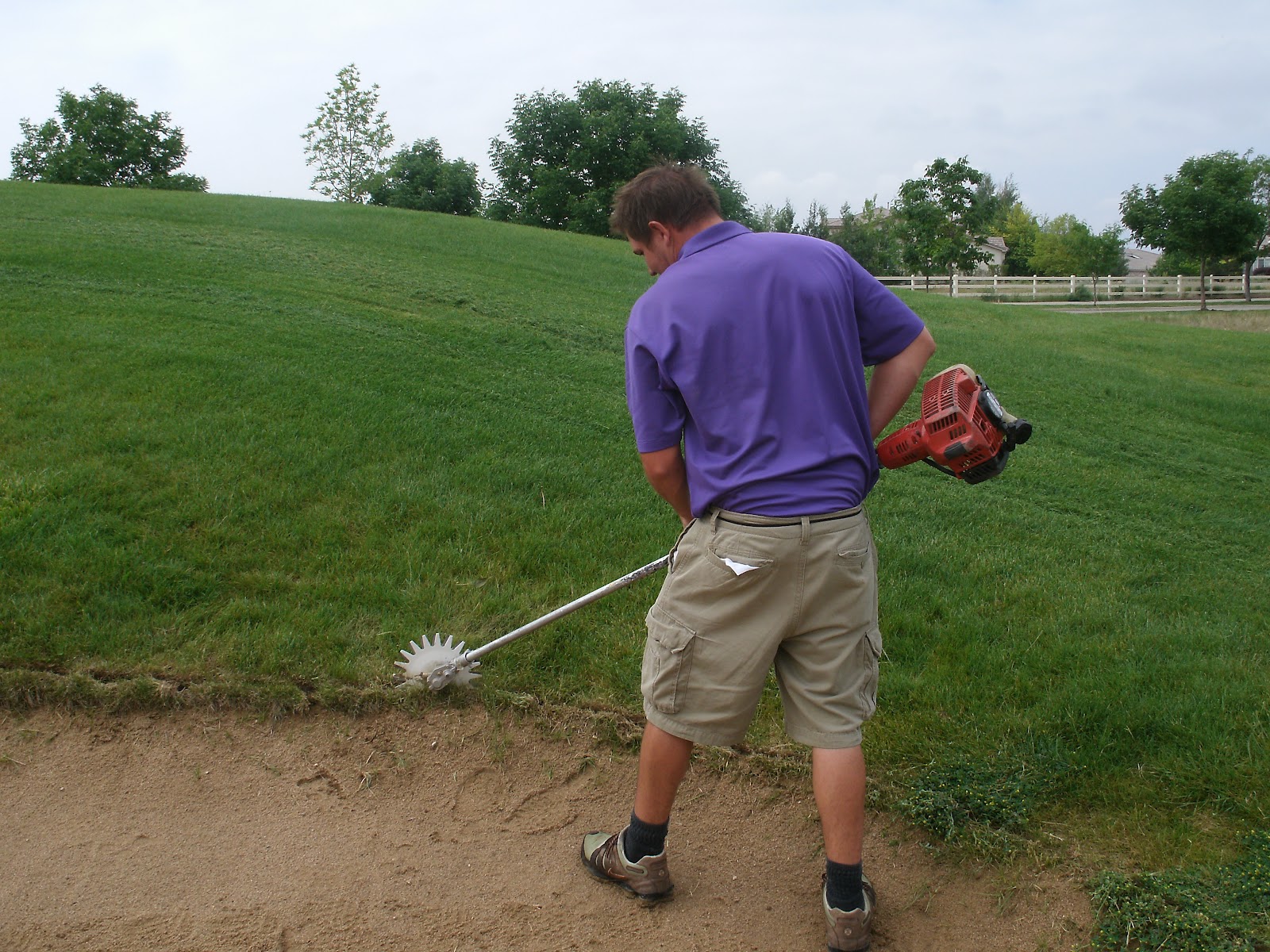 What are the basics of golf course maintenance?